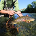 1pc T-Shaped Fish Hook Remover - Aluminum Alloy Fishing Tool with Ergonomic Handle & Blue Handle for Efficient Hook Separation, Ideal for Holiday Gifts (Father'S Day, Christmas, Thanksgiving), Fishing Accessory, Sleek Metallic Finish, Durable Construction - Image 9