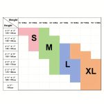 Unisex Posture Correction Belt with a Beautiful Design for The Back - Image 8