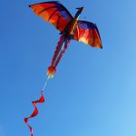 1pc Three-dimensional Dinosaur Kite, Pterosaur Animal Kite for Outdoor Beach Park - Image 4